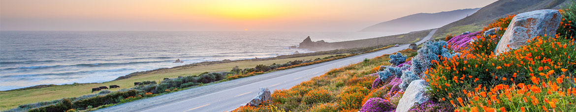 Covered California